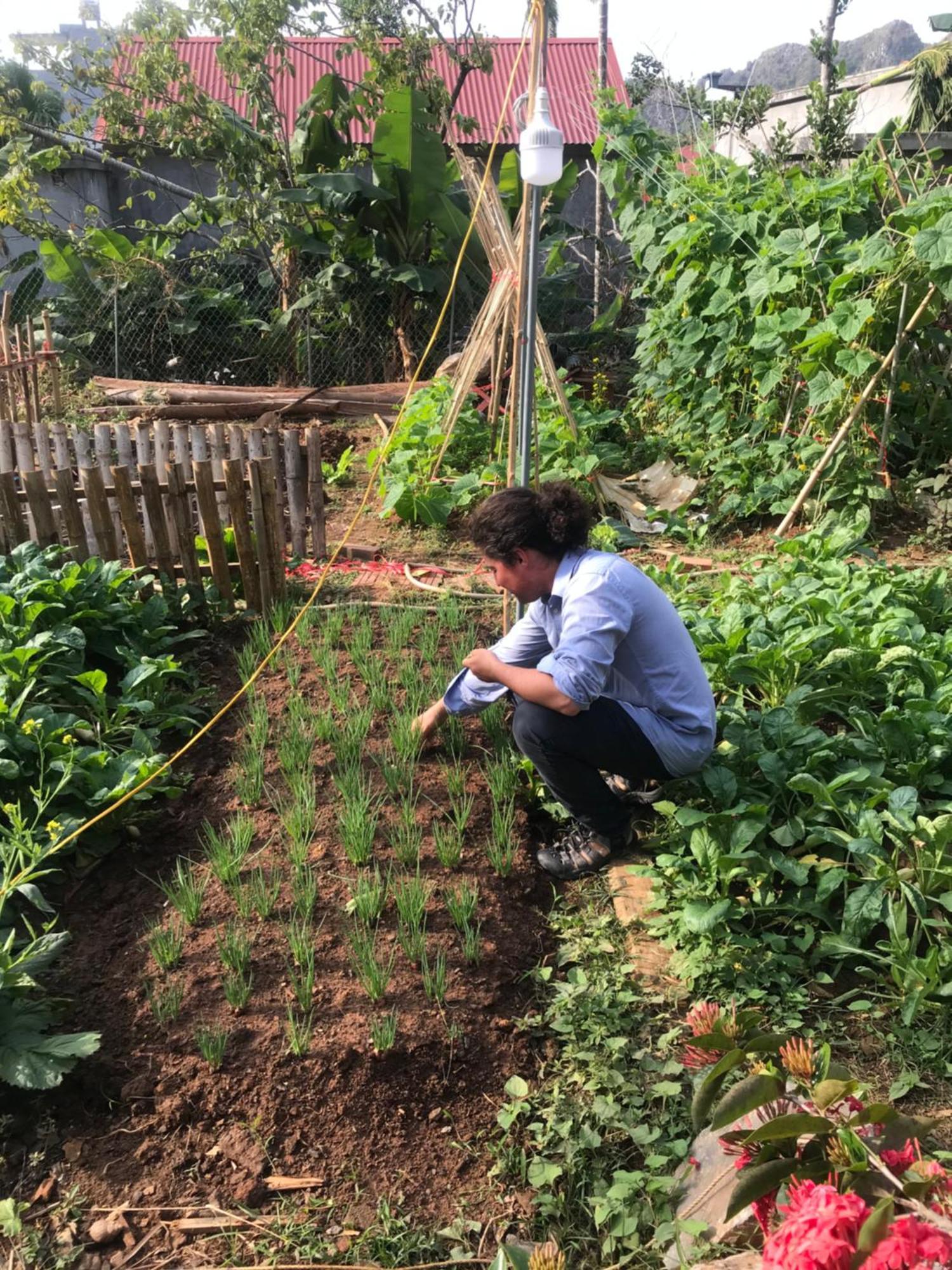 Bee Lucky Homestay Hien Hao Exterior foto